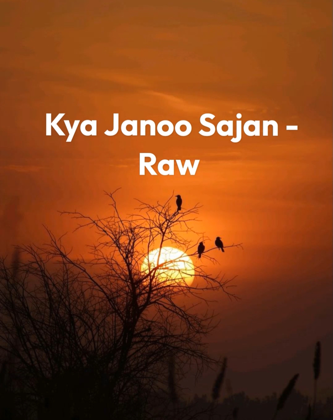 Kya Janoo Sajan Raw Kya Janoo Sajan Raw
